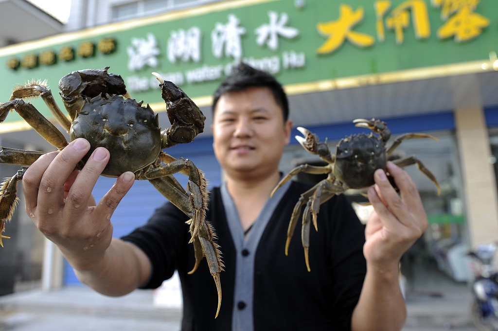 洪湖清水蟹打包流程