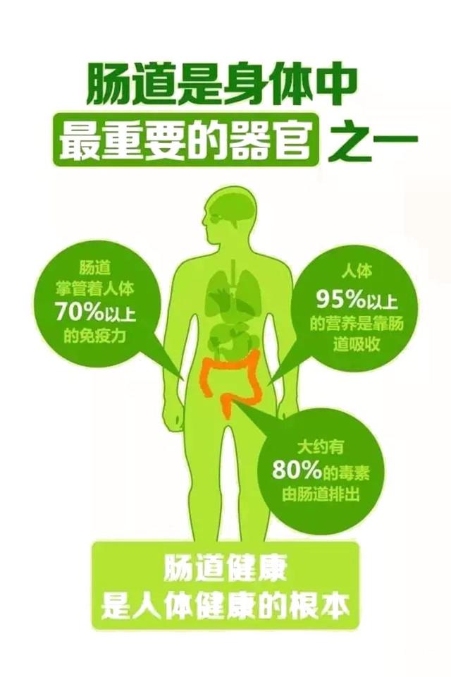 腸道保養，還得選“臻緣健康”